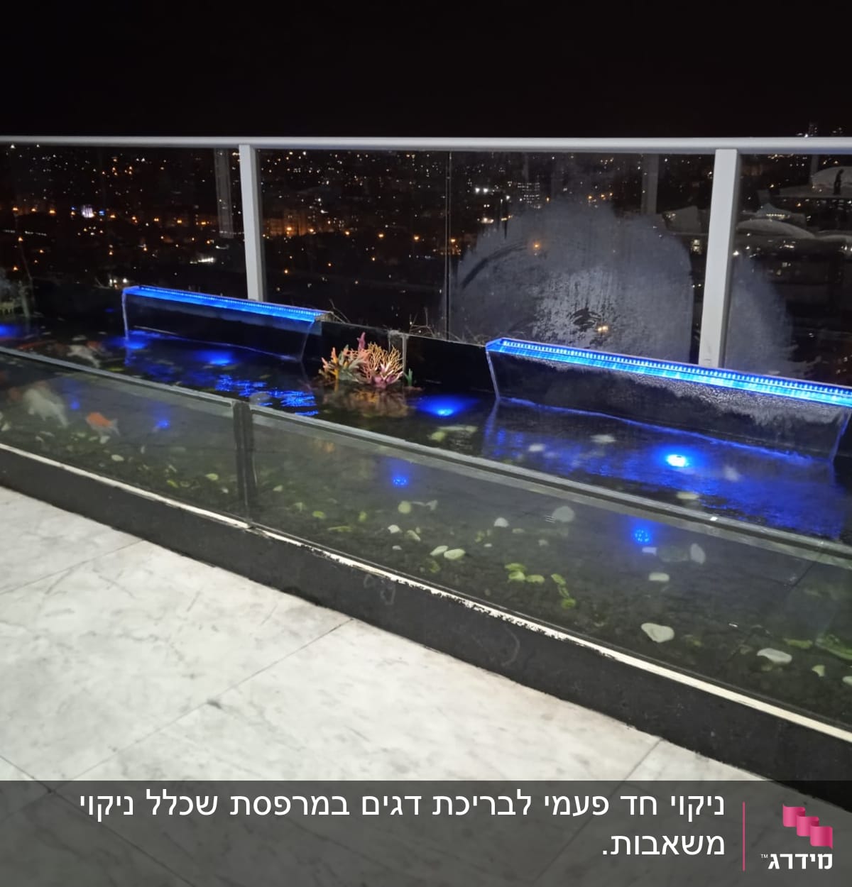 בריכת דגים עם תאורה וצמחי מים